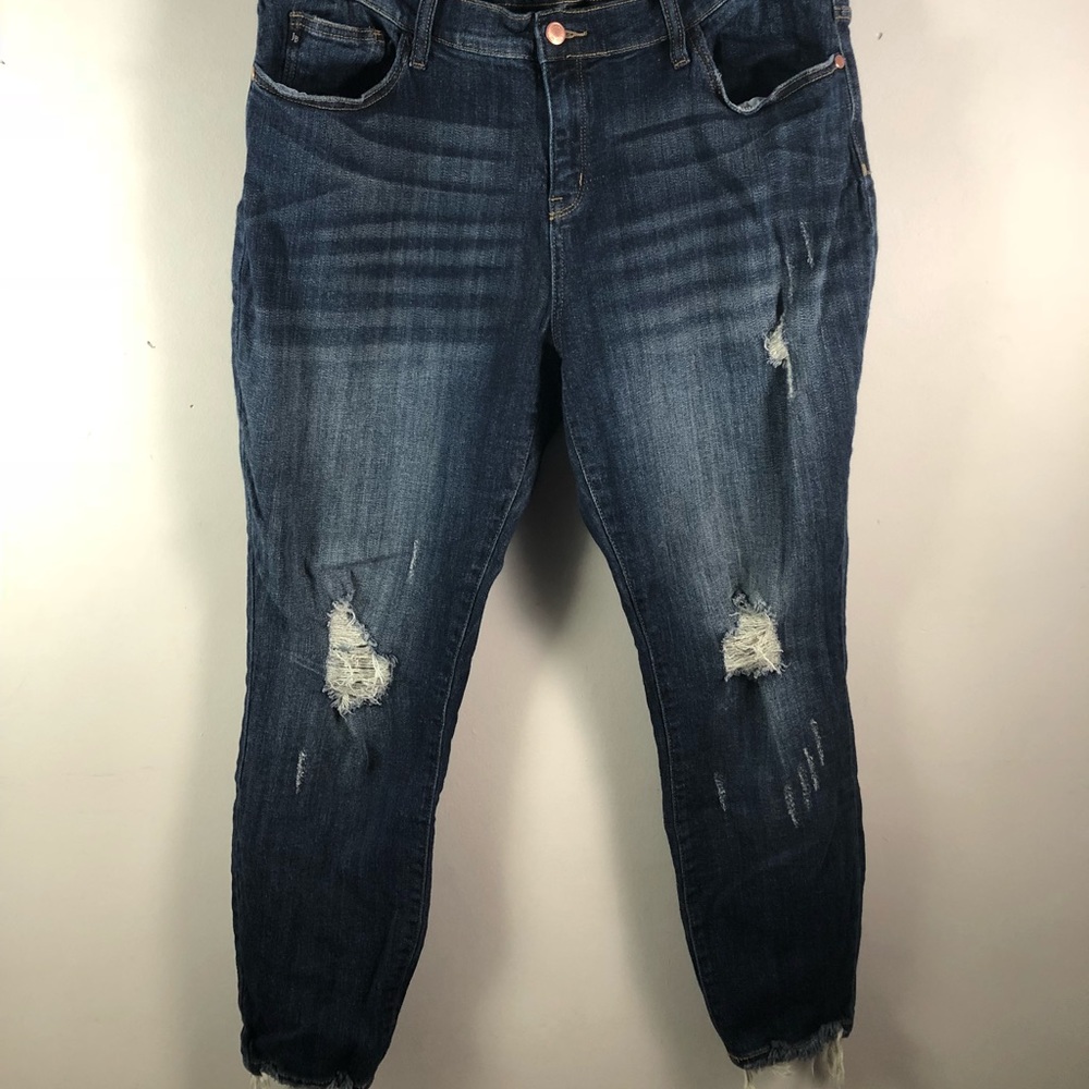 Judy Blue Skinny Fit Frayed Hem Distressed 2X